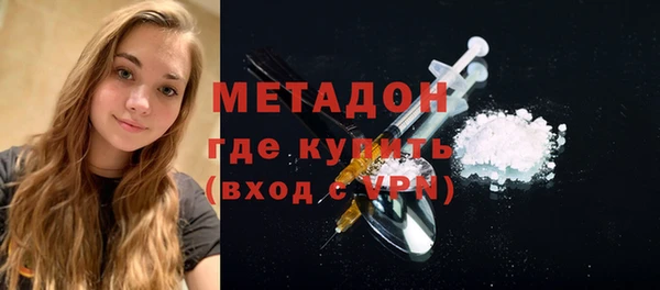 мдпв Ладушкин
