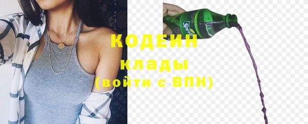 мдпв Ладушкин