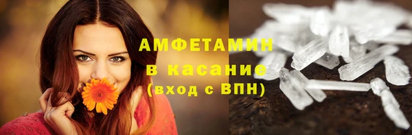 мдпв Ладушкин