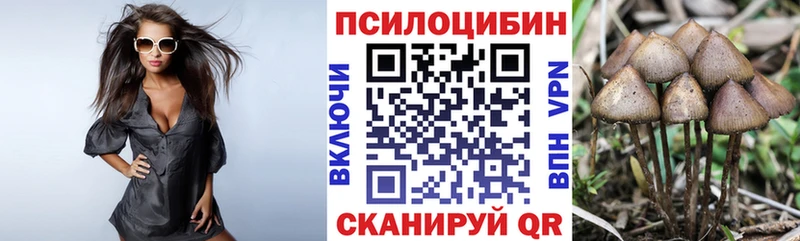 Купить  Микунь  Галлюциногенные грибы MAGIC MUSHROOMS 